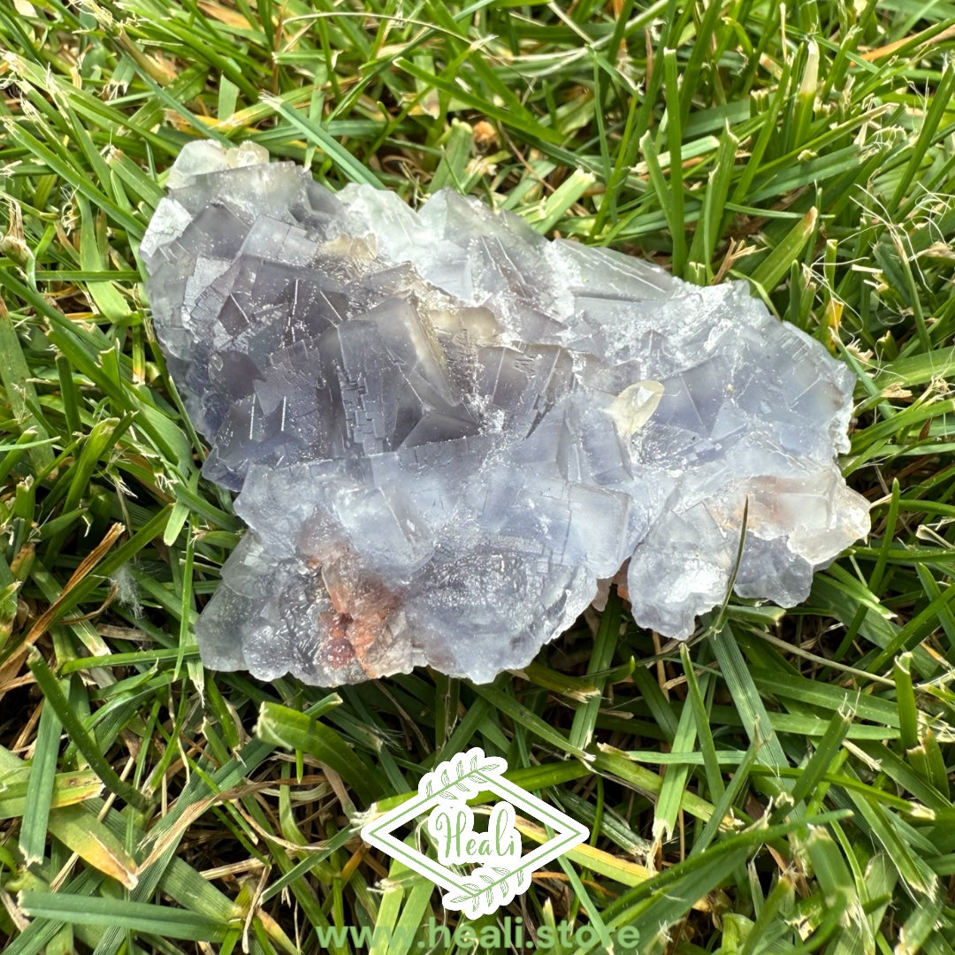 Blue Fluorite Rough