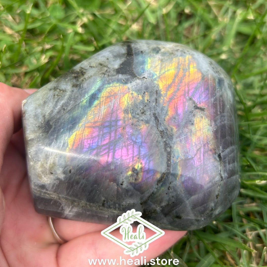 Labradorite Freeform with Purple Flash - Medium