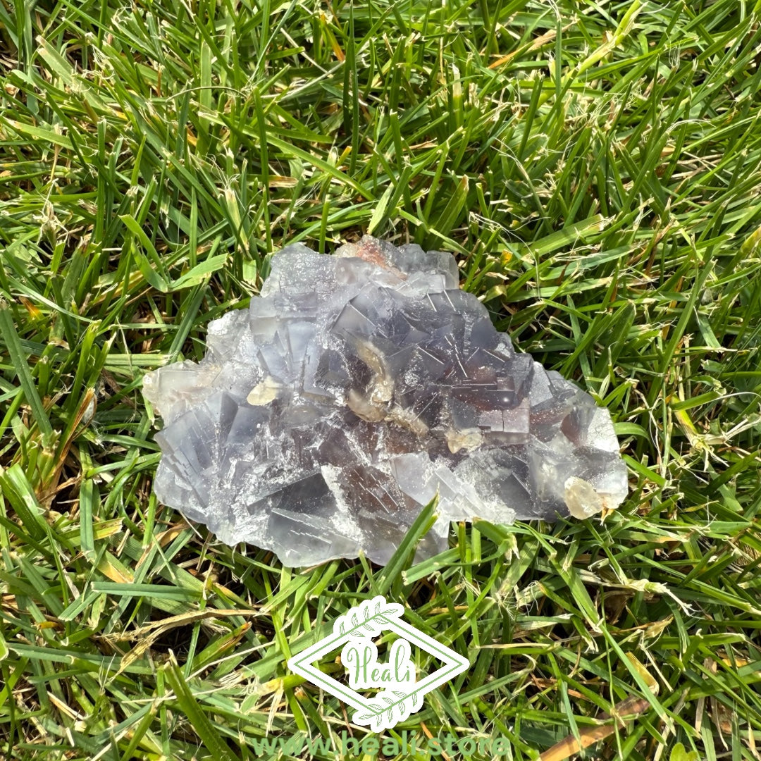 Blue Fluorite Rough