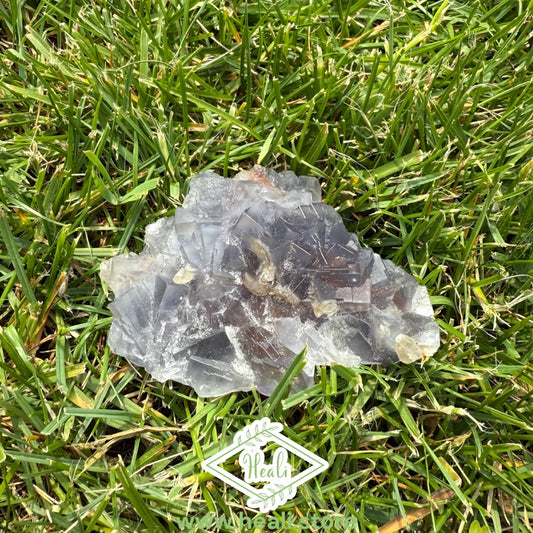 Blue Fluorite Rough