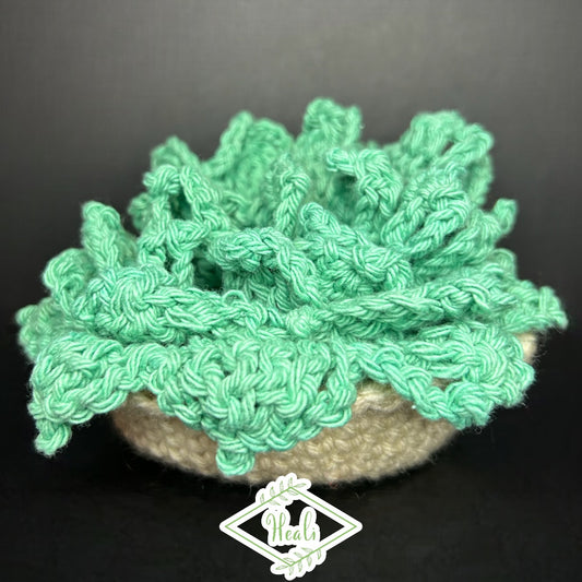 Succulent Crotchet Coasters