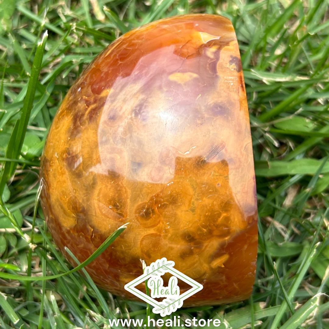 Carnelian Egg w Druzy