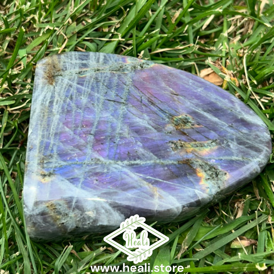 Labradorite Freeform with Blue/Purple Flash - Medium