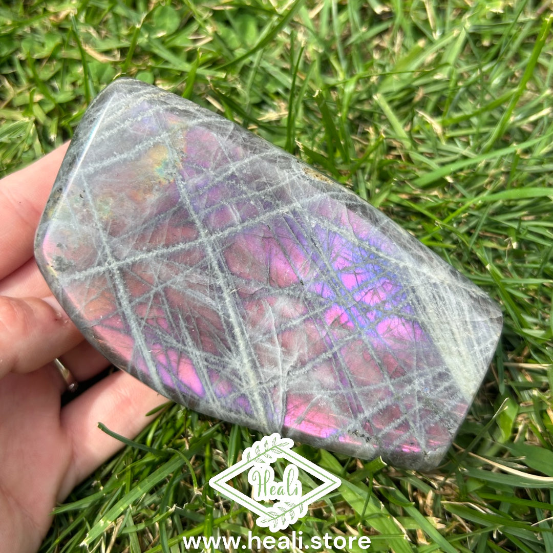 Labradorite Freeform with Purple Flash - Medium