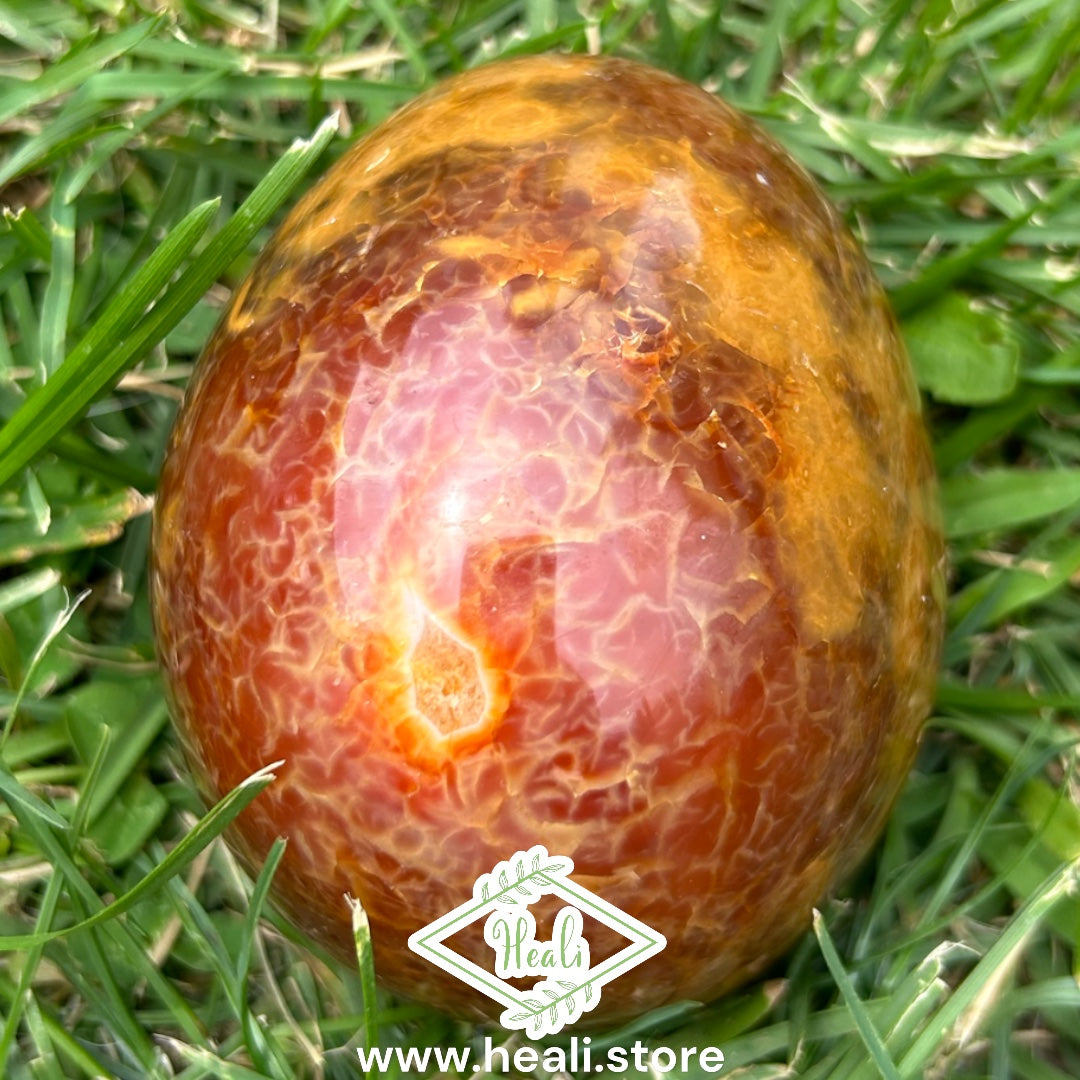 Carnelian Egg w Druzy