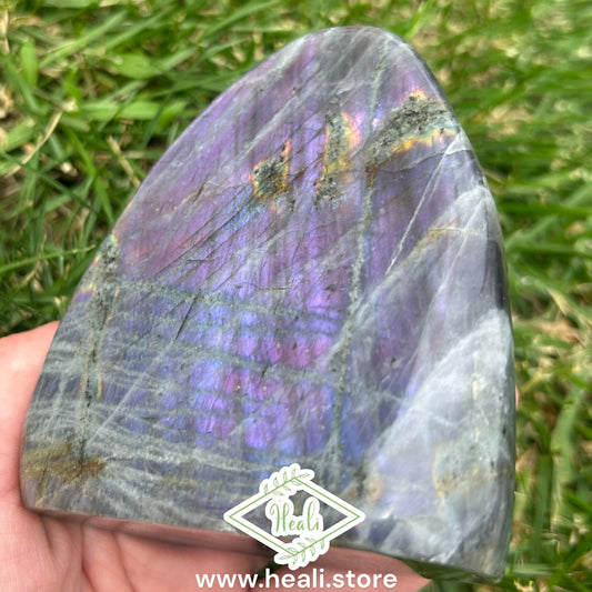 Labradorite Freeform with Blue/Purple Flash - Medium