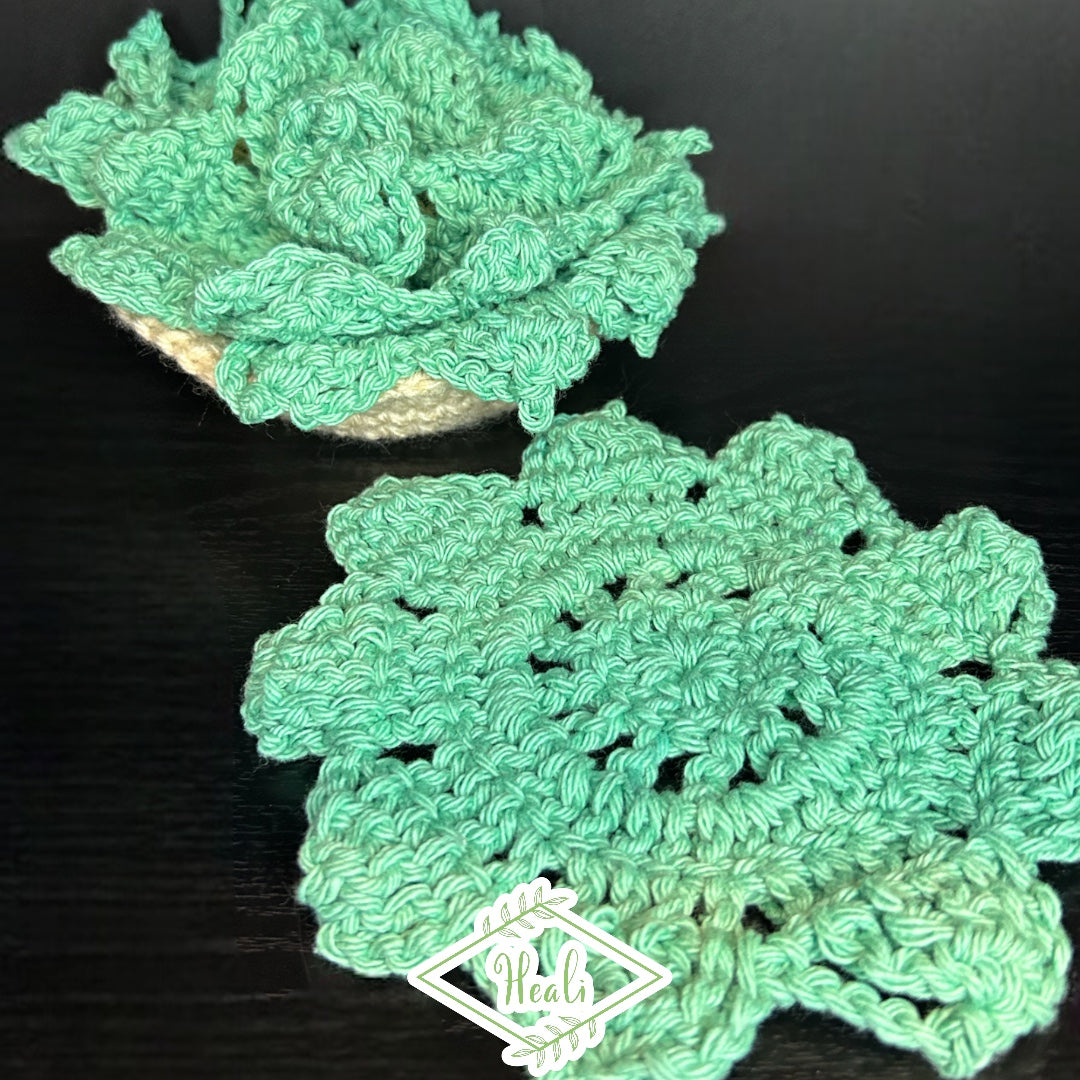 Succulent Crotchet Coasters