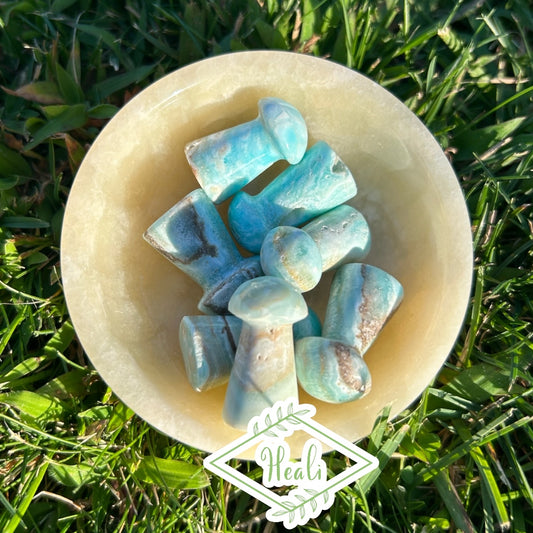 Blue Aragonite Mini Mushrooms