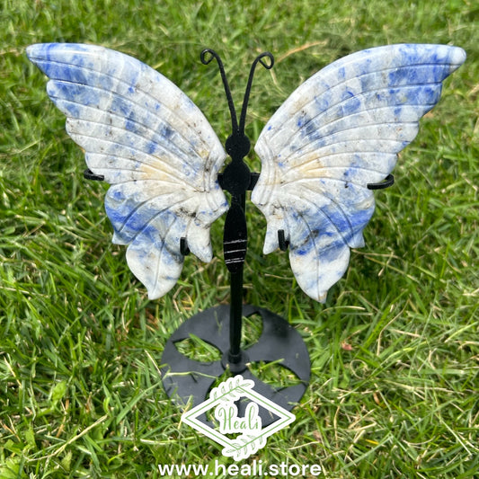 Afghanite Butterfly with Stand