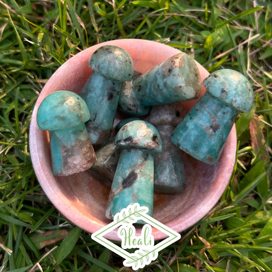 Amazonite Mini Mushrooms