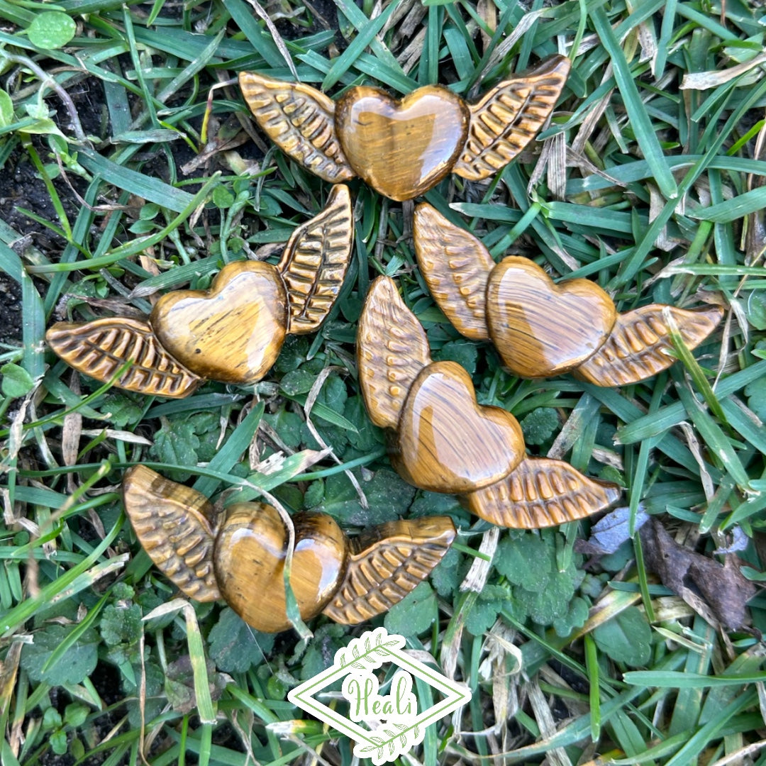 Flashy Tigers Eye Heart Wings