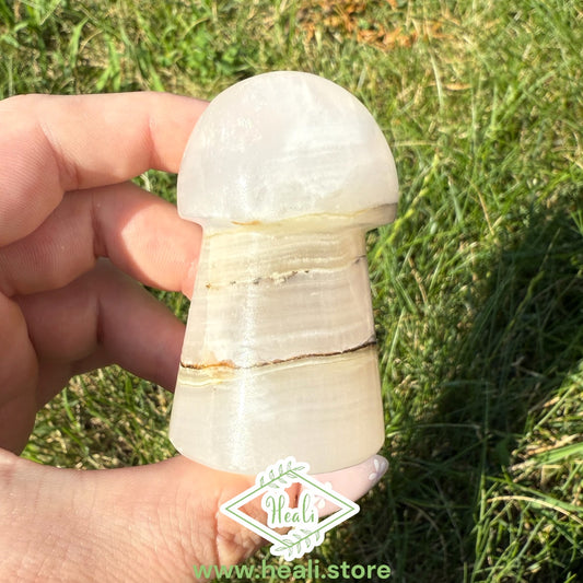 Pink Mangano Calcite Banded Mushroom