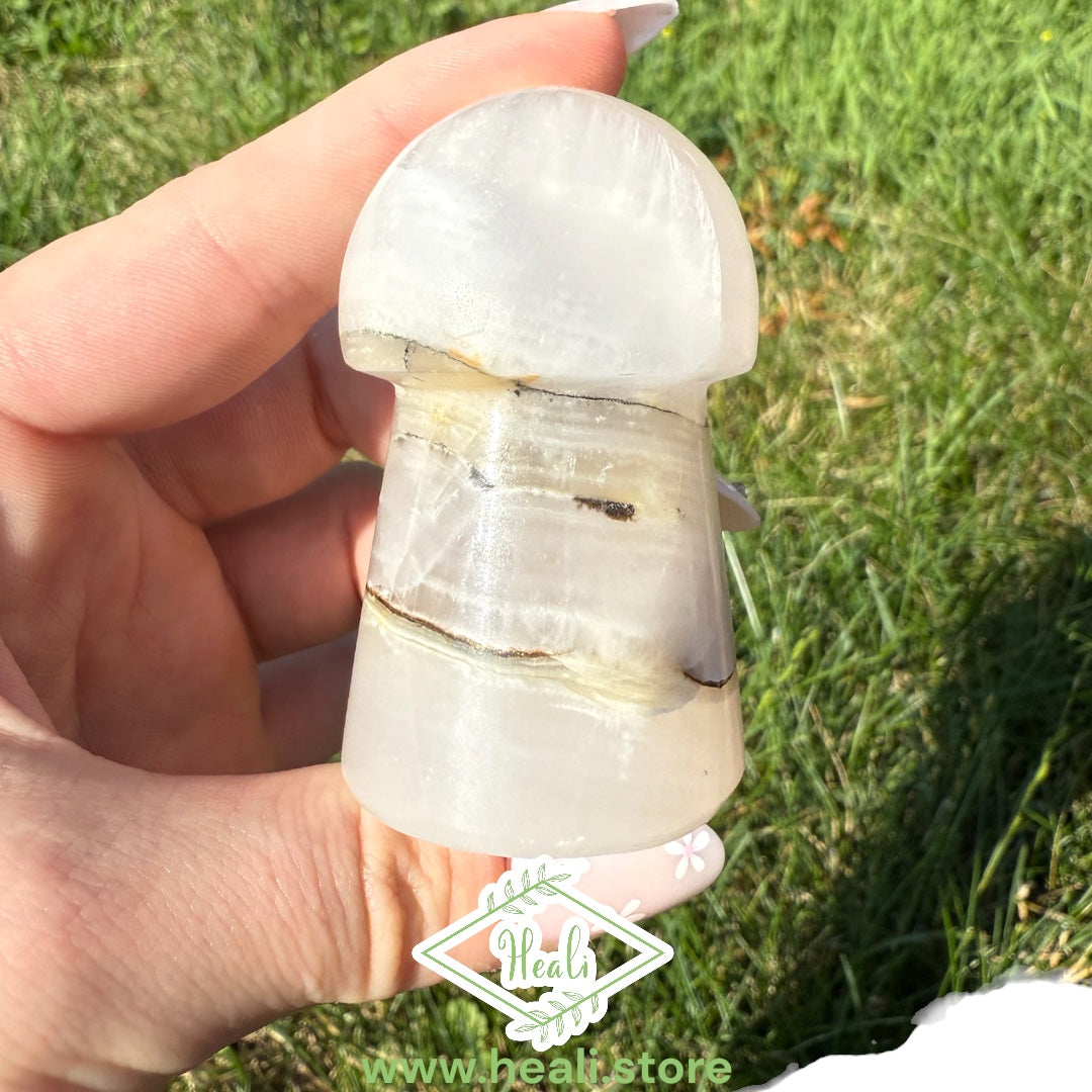 Pink Mangano Calcite Banded Mushroom